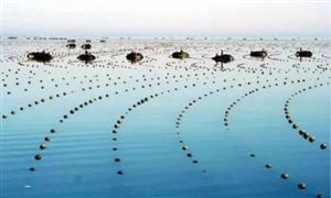海洋信息化市場規(guī)模分析 2020年海洋信息化行業(yè)發(fā)展前景趨勢及現(xiàn)狀分析