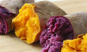2020紅薯食品行業(yè)市場(chǎng)前景及現(xiàn)狀預(yù)測(cè)