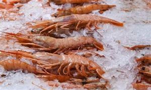 濟南進口冷凍食品新冠檢測陽性 甘肅蘭州一份冷鏈蝦新冠陽性 冷鏈進口食品產(chǎn)業(yè)現(xiàn)狀如何?