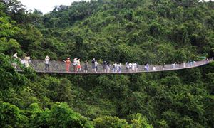 森林旅游疫后復(fù)蘇勢頭強(qiáng)勁 2020森林旅游產(chǎn)業(yè)發(fā)展態(tài)勢良好