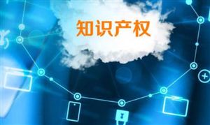 我國(guó)已有知識(shí)產(chǎn)權(quán)維權(quán)援助機(jī)構(gòu)1000余家 2021知識(shí)產(chǎn)權(quán)行業(yè)市場(chǎng)前景預(yù)測(cè)