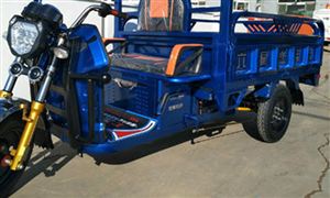 快遞服務(wù)電動(dòng)三輪車在?？谑芟?2021年三輪電動(dòng)車品牌格局將更加明顯