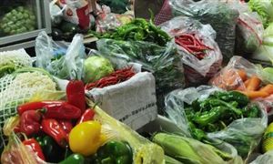 保障春節(jié)肉蛋菜奶從源頭供應(yīng)不斷檔 2021年我國蔬菜基地行業(yè)發(fā)展前景分析