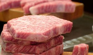 春節(jié)前9批中央儲備凍豬肉投放市場 2021年春節(jié)凍豬肉市場規(guī)模將隨之擴大