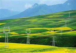 秦淮數(shù)據(jù)買下1億度綠色電力 2021綠色電力交易市場發(fā)展前景研究