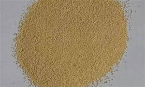 中國顆粒劑行業(yè)現(xiàn)狀及發(fā)展前景分析