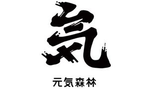 元氣森林瞄準(zhǔn)“0防腐劑” 碳酸飲料行業(yè)風(fēng)險投資態(tài)勢分析