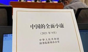 《中國的全面小康》白皮書發(fā)布 中國的全面小康什么樣？