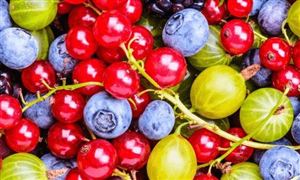 國臺(tái)辦談暫停輸入臺(tái)灣番荔枝和蓮霧 2021水果行業(yè)現(xiàn)狀分析