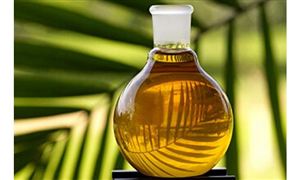 馬來西亞9月末棕櫚油庫存環(huán)比下降6.99% 棕櫚油行業(yè)需求市場分析