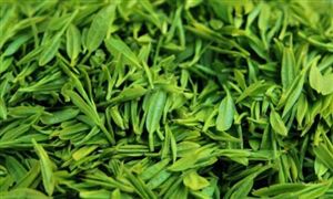 “貴州綠茶”上半年銷售4.68萬噸 綠茶市場發(fā)展趨勢分析
