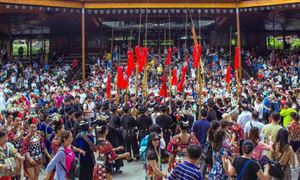 傳播鏈背后:為何老人愛去西北線? 旅游服務(wù)行業(yè)分析