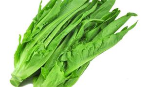 不少蔬菜每斤單價突破10元大關 蔬菜行業(yè)發(fā)展現(xiàn)狀
