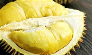 馬來西亞榴蓮出口額5年翻一番 榴蓮產(chǎn)業(yè)發(fā)展研究及市場投資潛力分析