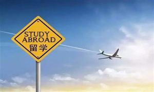 2021留學(xué)服務(wù)市場規(guī)模及行業(yè)發(fā)展前景分析