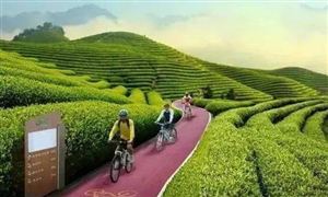 中國林場協(xié)會(huì):國有林場發(fā)展森林康養(yǎng)前景廣闊 探討康養(yǎng)產(chǎn)業(yè)發(fā)展的路徑