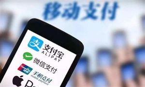 2021在線支付市場(chǎng)份額及在線支付行業(yè)報(bào)告