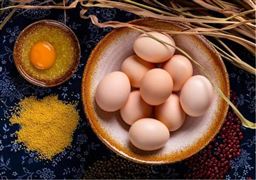 雞蛋價(jià)格行情走勢(shì) 中國(guó)雞蛋加工行業(yè)發(fā)展前景