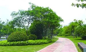 中國(guó)城市園林綠化行業(yè)現(xiàn)狀及發(fā)展前景分析