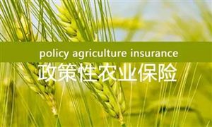 超三百億元農(nóng)業(yè)保險保費補貼全部下達 農(nóng)業(yè)保險未來需求調(diào)研