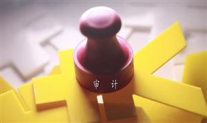 審計信息化是審計技術創(chuàng)新的最重要方面 審計行業(yè)整體規(guī)模持續(xù)增長