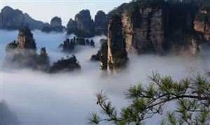 張家界景區(qū)研究元宇宙 景區(qū)旅游產(chǎn)業(yè)發(fā)展現(xiàn)狀及投資分析