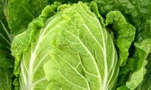 韓國(guó)白菜價(jià)格暴漲70% 韓國(guó)腌制一棵泡菜成本高達(dá)65元 大白菜產(chǎn)業(yè)發(fā)展分析