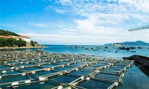 廣東明確扶持海洋漁業(yè) 海洋漁業(yè)發(fā)展現(xiàn)狀及趨勢