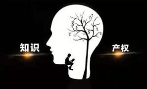 2022知識(shí)產(chǎn)權(quán)代理行業(yè)發(fā)展現(xiàn)狀及前景分析