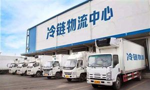 冷鏈物流市場(chǎng)調(diào)研 2022冷鏈物流行業(yè)發(fā)展前景及趨勢(shì)分析