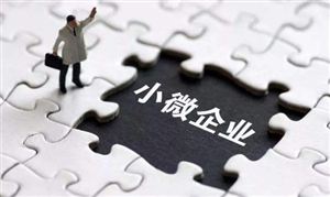 國(guó)家稅務(wù)總局:做好制造業(yè)中小微企業(yè)緩繳稅費(fèi)工作 小微金融行業(yè)分析