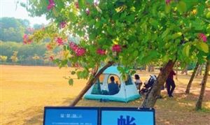 深圳這些可搭帳篷野餐 露營帶動帳篷等露營設備快速增長