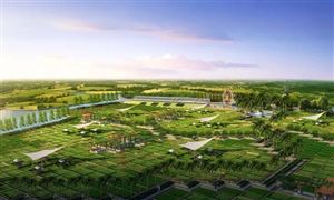 2022年生態(tài)農業(yè)行業(yè)發(fā)展前景及市場規(guī)模分析
