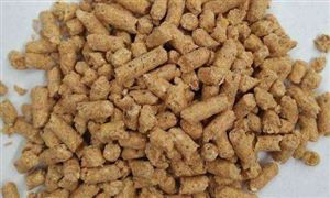 2021年反芻飼料或超1453萬噸 飼料行業(yè)“十四五”發(fā)展走向如何