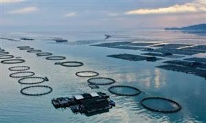 “十四五”福建省海洋經(jīng)濟發(fā)展規(guī)劃 2025年基本建成海洋強省 福建水產(chǎn)品發(fā)展前景及投資分析