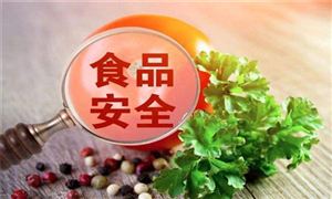 食品安全檢測行業(yè)發(fā)展趨勢及市場現(xiàn)狀分析