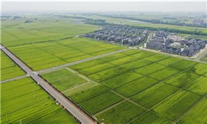 農(nóng)業(yè)農(nóng)村部部長(zhǎng)唐仁健解讀2022年中央一號(hào)文件 農(nóng)業(yè)投資資未來(lái)發(fā)展分析