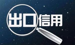 2022出口信用保險行業(yè)現(xiàn)狀與發(fā)展前景分析