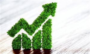 2022年綠色金融行業(yè)分析報(bào)告 綠色金融債規(guī)模因何大增