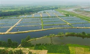 2022水產(chǎn)養(yǎng)殖市場(chǎng)調(diào)研及行業(yè)前景分析