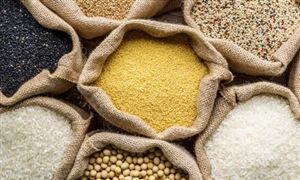 糧食物流行業(yè)現(xiàn)狀 2022糧食物流行業(yè)趨勢(shì)預(yù)測(cè)