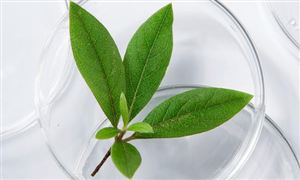 玻璃制品市場報告 2022玻璃制品行業(yè)前景及現(xiàn)狀分析