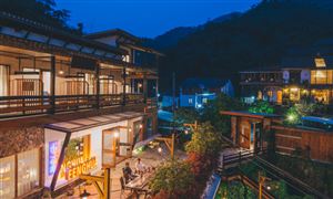 民宿行業(yè)市場規(guī)模現狀及發(fā)展趨勢分析