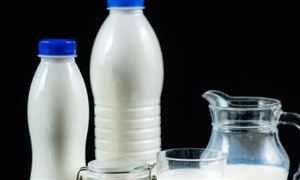 2022-2026益生菌行業(yè)前景及現(xiàn)狀調(diào)研分析