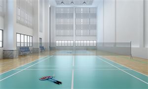 2022年羽毛球館行業(yè)發(fā)展前景及市場調(diào)研分析