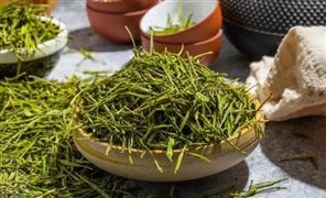 茶葉行業(yè)市場分析 茶葉發(fā)展方向預(yù)測
