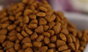 2022年飼料行業(yè)的環(huán)境機(jī)會(huì)及飼料行業(yè)發(fā)展趨勢(shì)分析