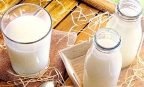 羊奶行業(yè)現(xiàn)狀分析 羊乳產(chǎn)業(yè)的發(fā)展被提到了重要的議事日程