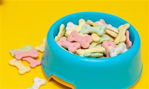 全球寵物食品市場近況 寵物食品行業(yè)發(fā)展模式研究