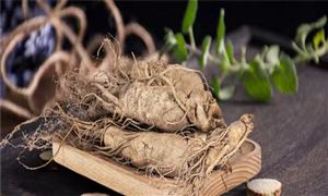 2022人參種植行業(yè)發(fā)展趨勢(shì)及市場(chǎng)現(xiàn)狀分析